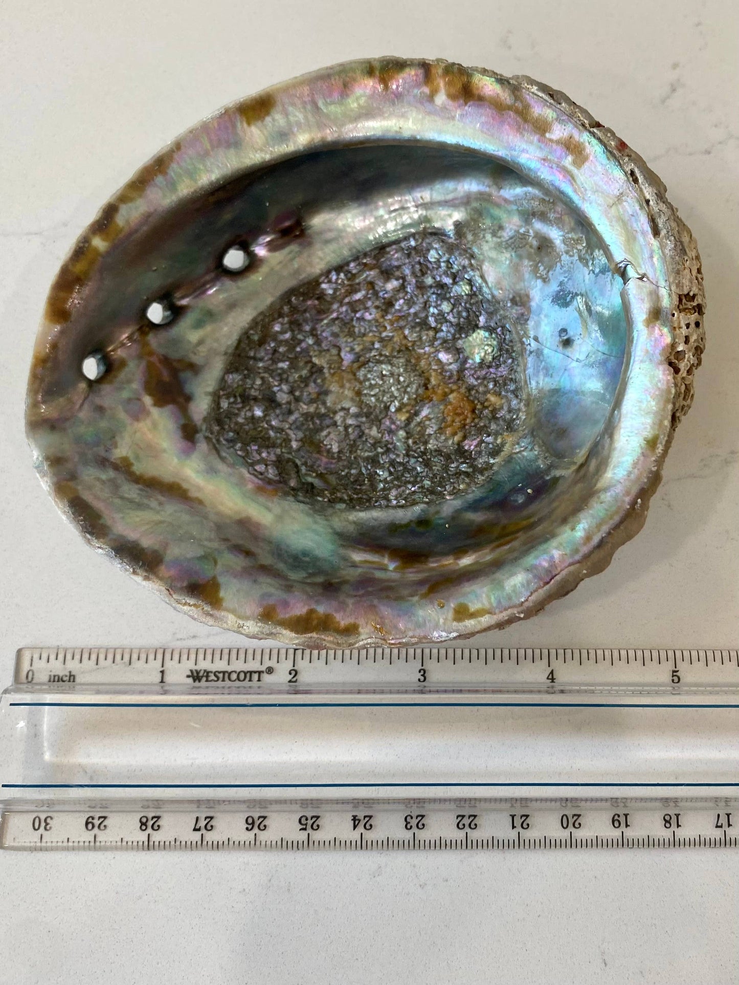 Abalone Shell Smudge Bowls