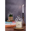 Glass Bell Jar With Wood Coaster Set